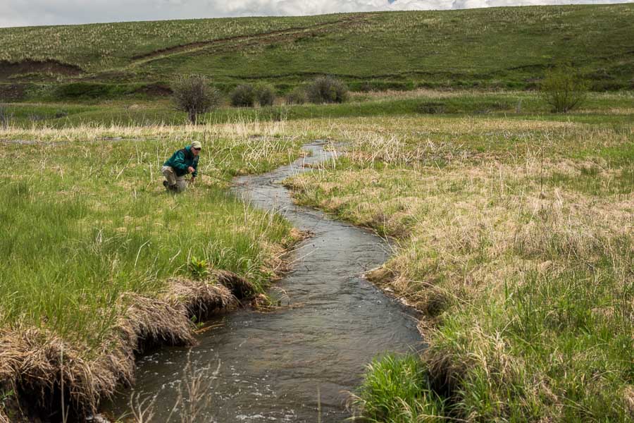 Montana Small Stream Fly-Fishing Guide