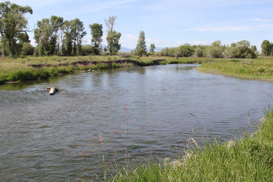 Beaverhead River Private Access | Montana Angler