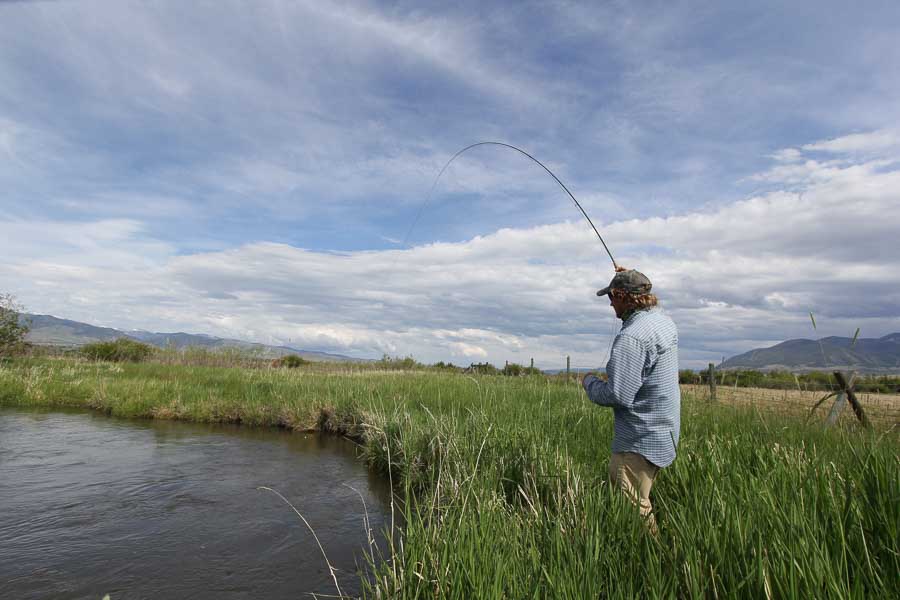 Mill Creek Private Access | Montana Angler