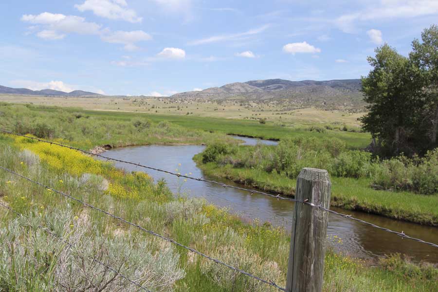 south boulder trout fly fishing guided fly fishing