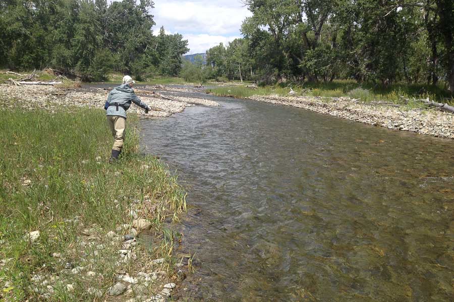 Sweet Grass Creek Private Water | Montana Angler