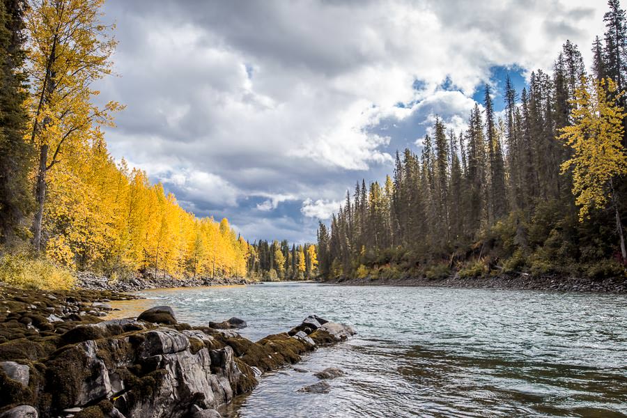 Steelhead Valhalla Lodge | Montana Angler