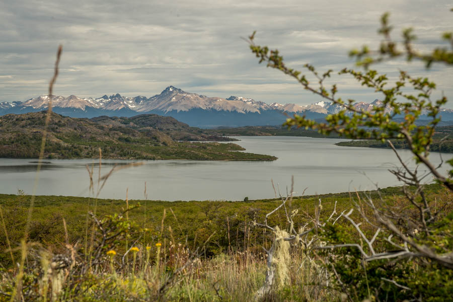 Rio Pico, Argentina: Big Patagonia Trout Adventure - Coastal