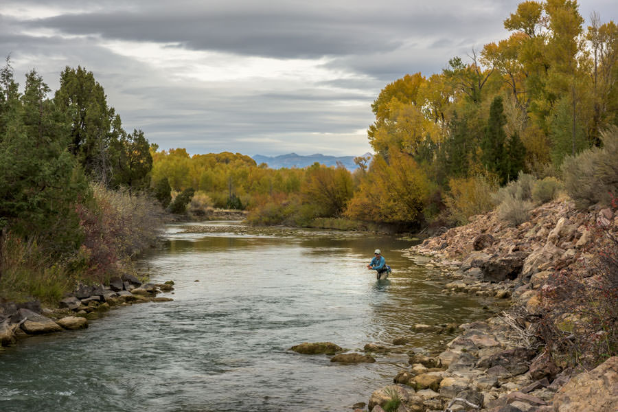 Ruby River Fly Fishing Guide & Trips