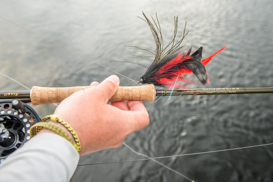 Top 5 Fly Fishing Flies For Golden Dorado