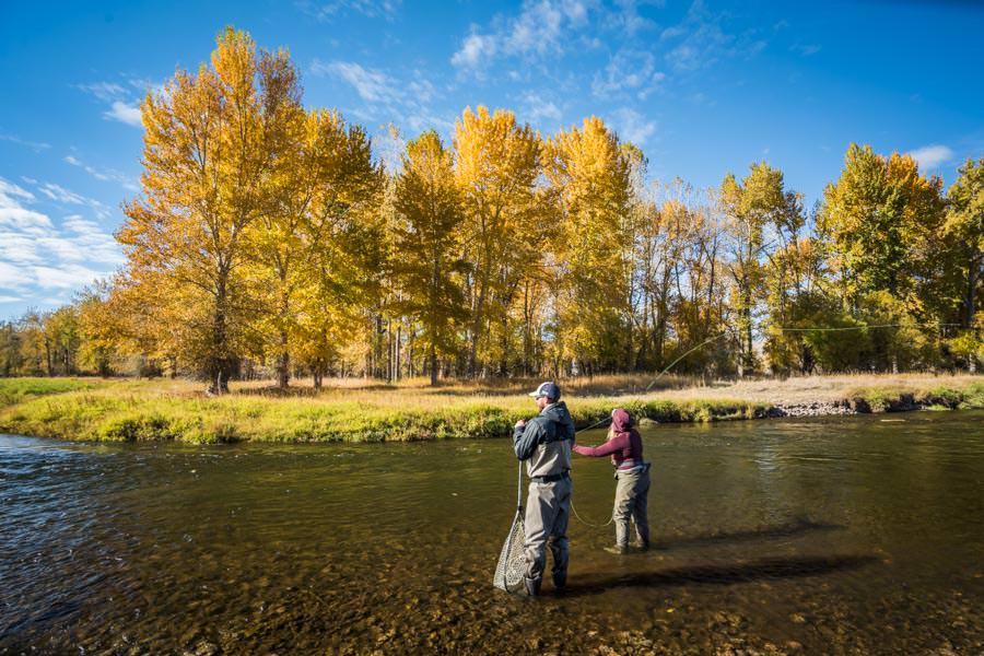 Big Hole River Fly Fishing Trips