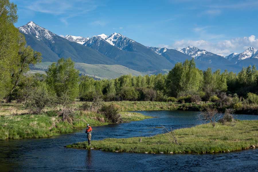 Spring Creeks  Montana Angler