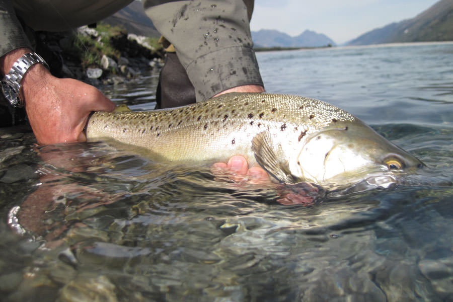 Fishing: Finding the perfect spot key to becoming a rock star - NZ