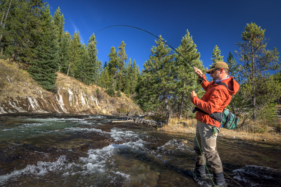 Gibbon River Fly Fishing in Yellowstone National Park