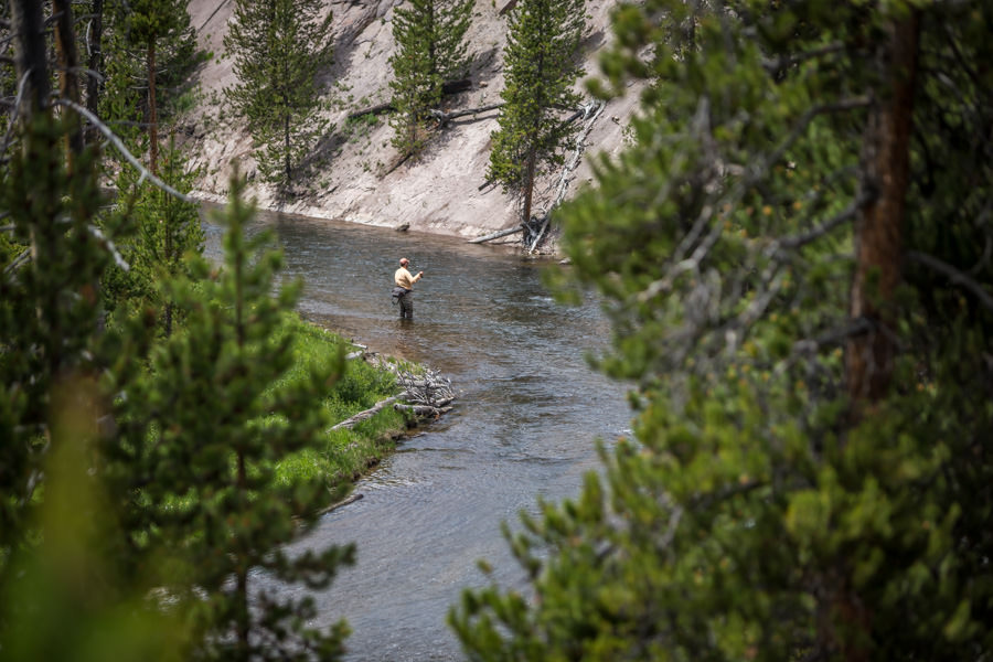 A Camper's Guide to Fishing Along West Yellowstone's Madison River