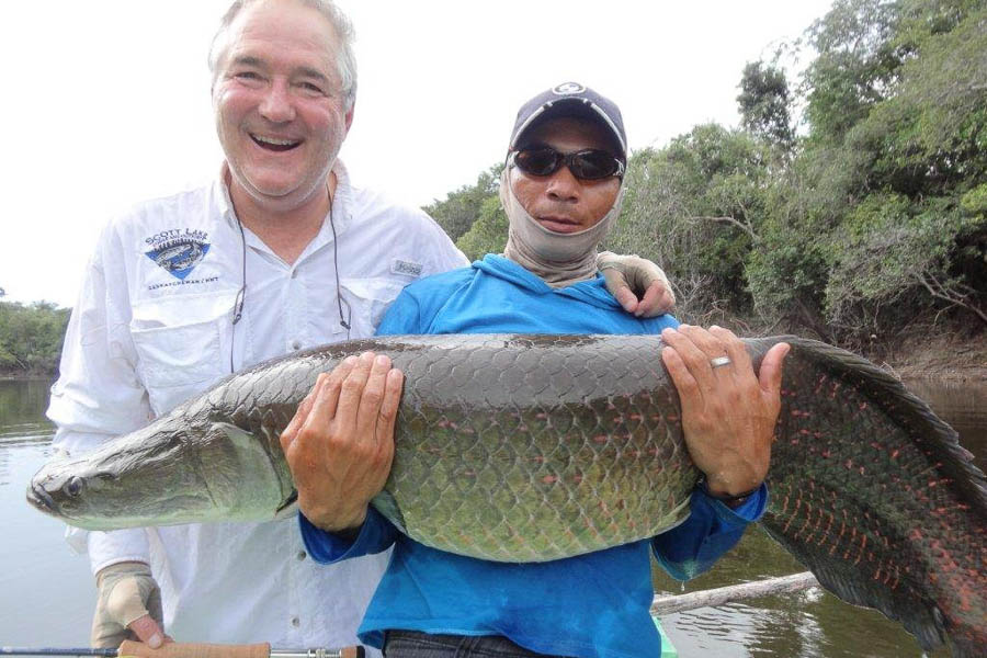 Brazil Fly Fishing -  Jungle Fishing Lodges