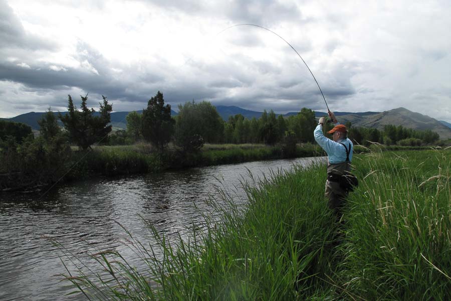 Full-Day Montana Private Water Fly-Fishing Trip