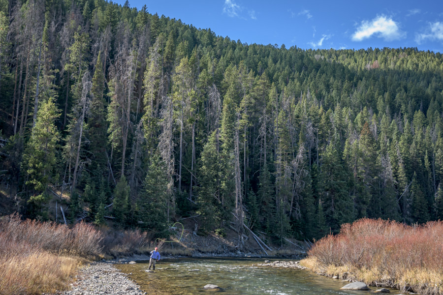 Gallatin River Fly Fishing Trips