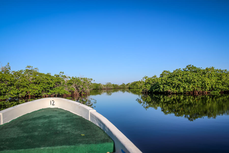 Costa de Cocos Mexican Fly Fishing for Bonefish, Permit and Tarpon ...