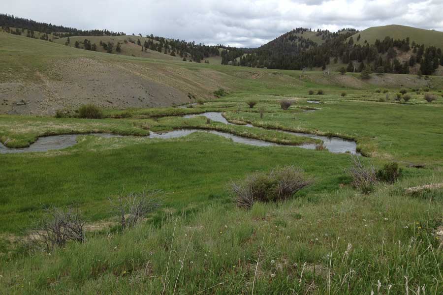 North Fork Musselshell River Private Water | Montana Angler