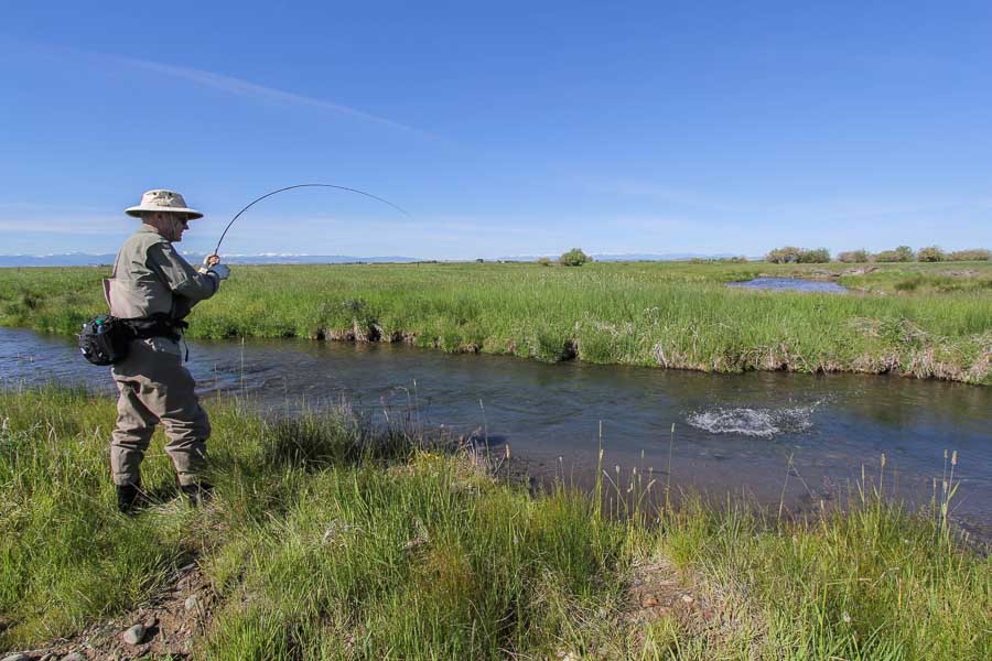 Smith Creek Private Water | Montana Angler