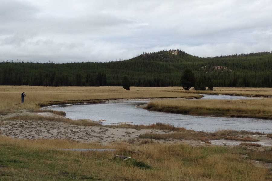 Madison River Fly Fishing In Yellowstone National Park