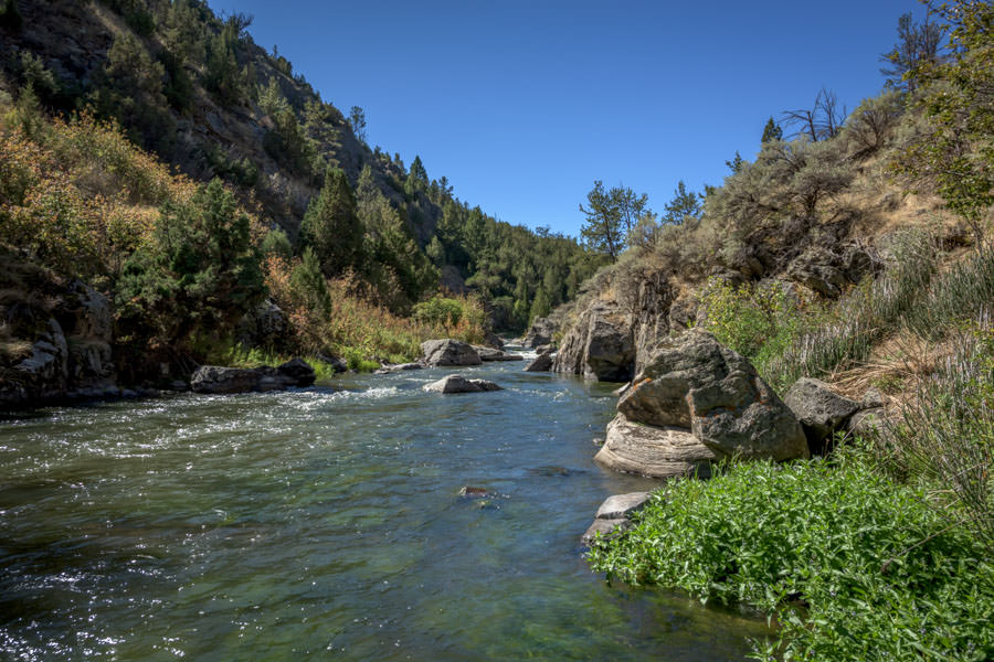 Willow Creek | Montana Angler