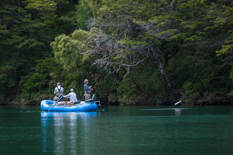 Argentina Fishing Trip Report: February 2022 at El Encuentro Lodge