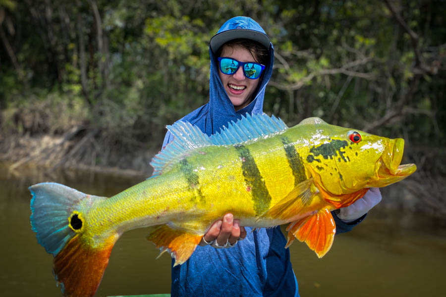 Peacock Bass Fly Fishing Trips Hosted in Brazil