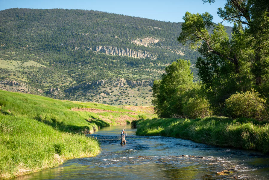 Spring Creeks  Montana Angler