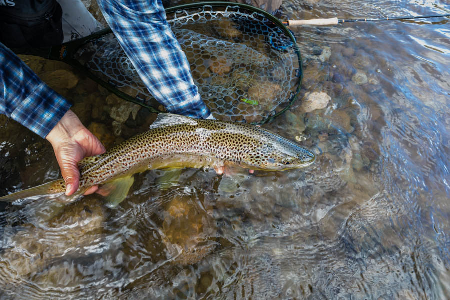 Chile Fly Fishing Lodges | Rio Palena Lodge with Montana Angler