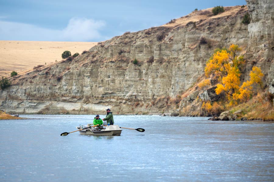 The Lower Madison can be a great option for fall fly fishing close to Bozeman