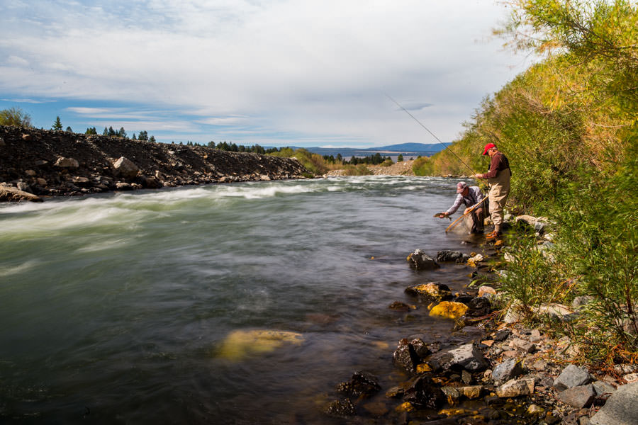 Madison River in the fall near Bozeman, Montana