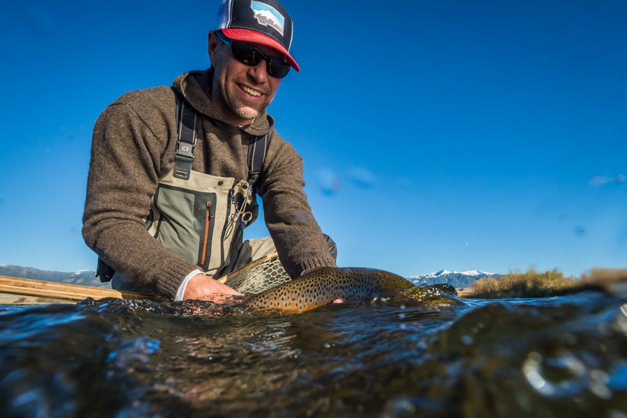 Madison River fly fishing report