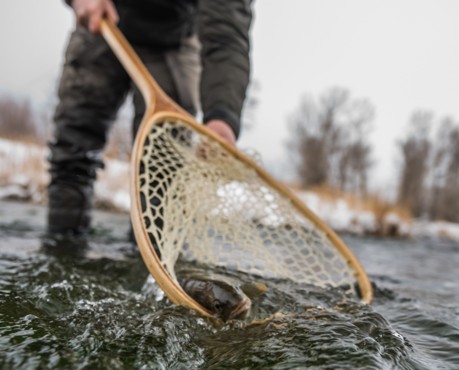 Winter fly fishing reports on DePuy's and Armstrong's Spring Creeks