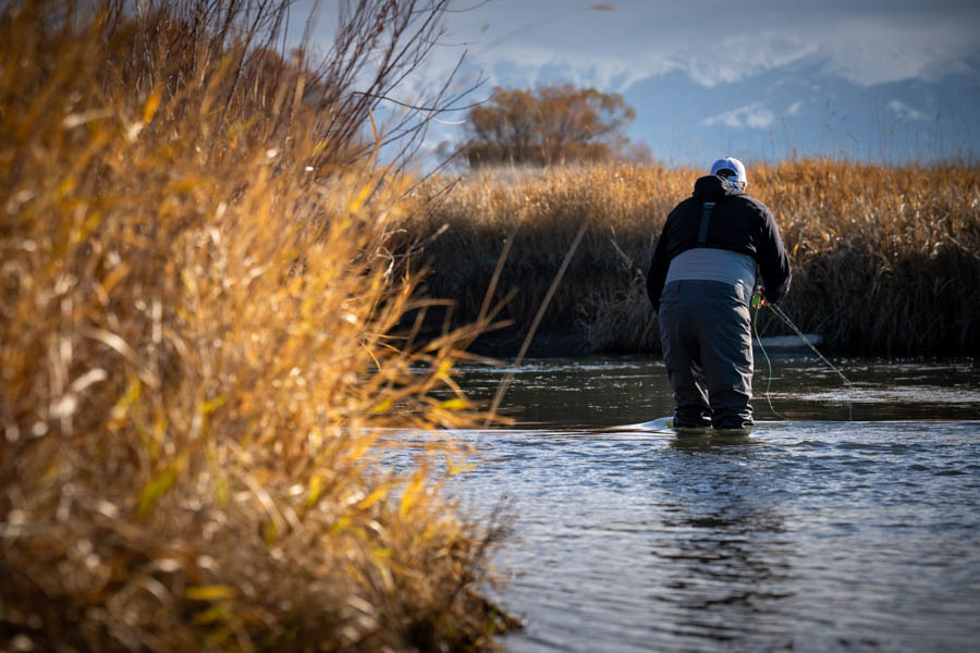 Bozeman Montana fly fishing in winter